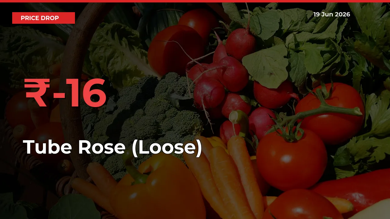 Tube Rose (Loose) Prices Drop 16.3% in 24 Hours at Major Mandis
