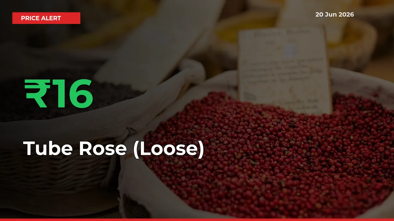 16.15% Spike in Tube Rose (Loose) Prices – Mandi Sees Sudden Rally