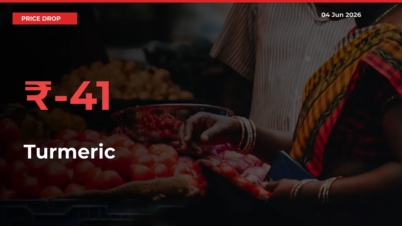 Farmers Alert as Turmeric Prices Slide 40.82% in Local Mandis