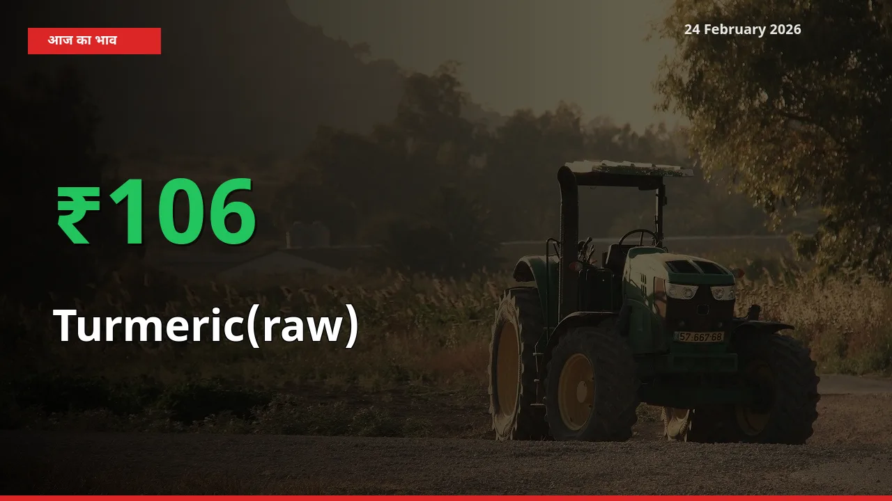 स्थानीय मंडी में Turmeric(raw) के दाम अचानक 105.99% उछले, किसान सतर्क