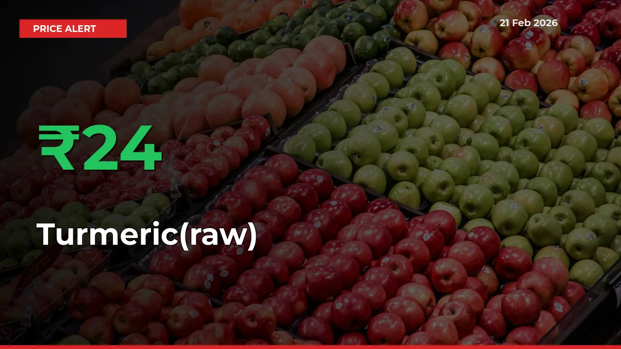 Why Turmeric(raw) Prices Rose 23.77% in a Day at Mandis