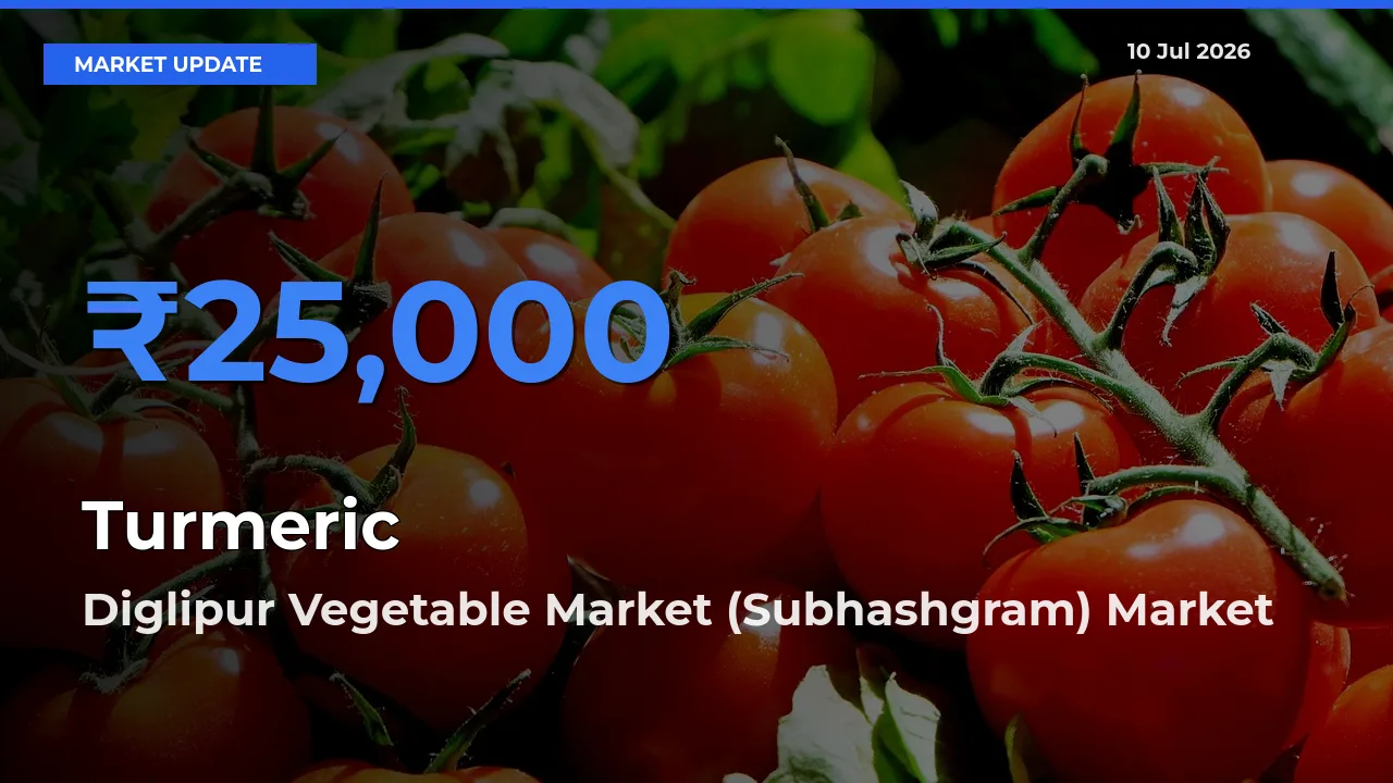 Farmers Prefer Diglipur Vegetable Market (Subhashgram) as Turmeric Hits Highest Rate