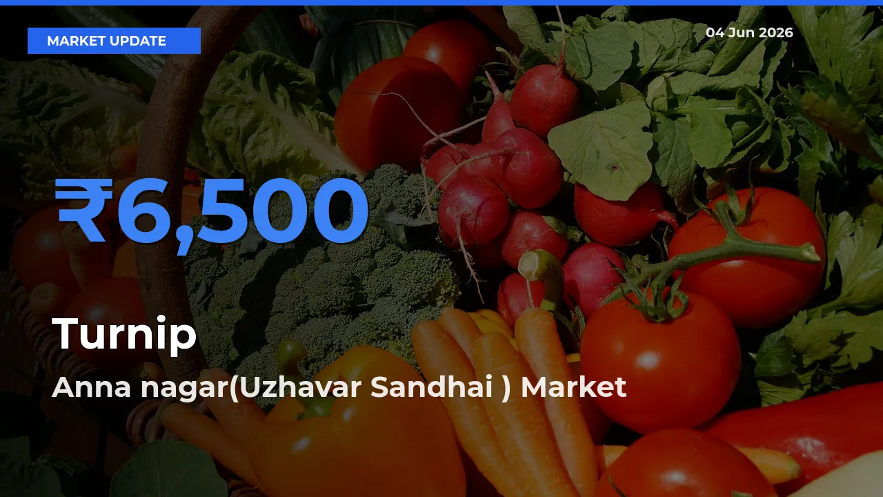 Anna nagar(Uzhavar Sandhai ) Records Highest ₹6,500 Rate for Turnip