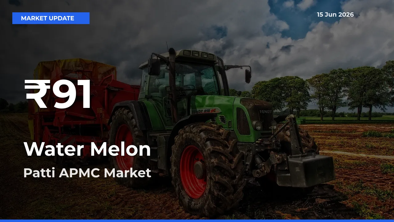 Farmers Concerned as Water Melon Hits 30-Day Low in Patti APMC