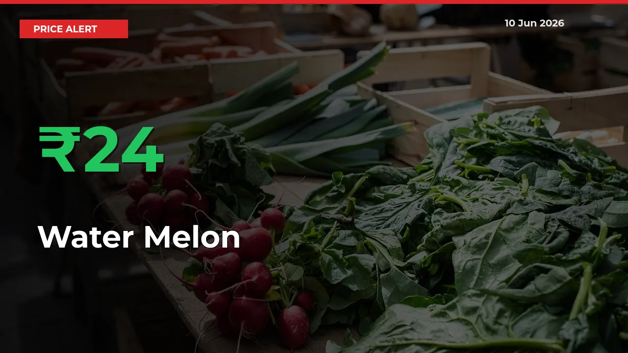 Why Water Melon Prices Rose 24.4% in a Day at Mandis