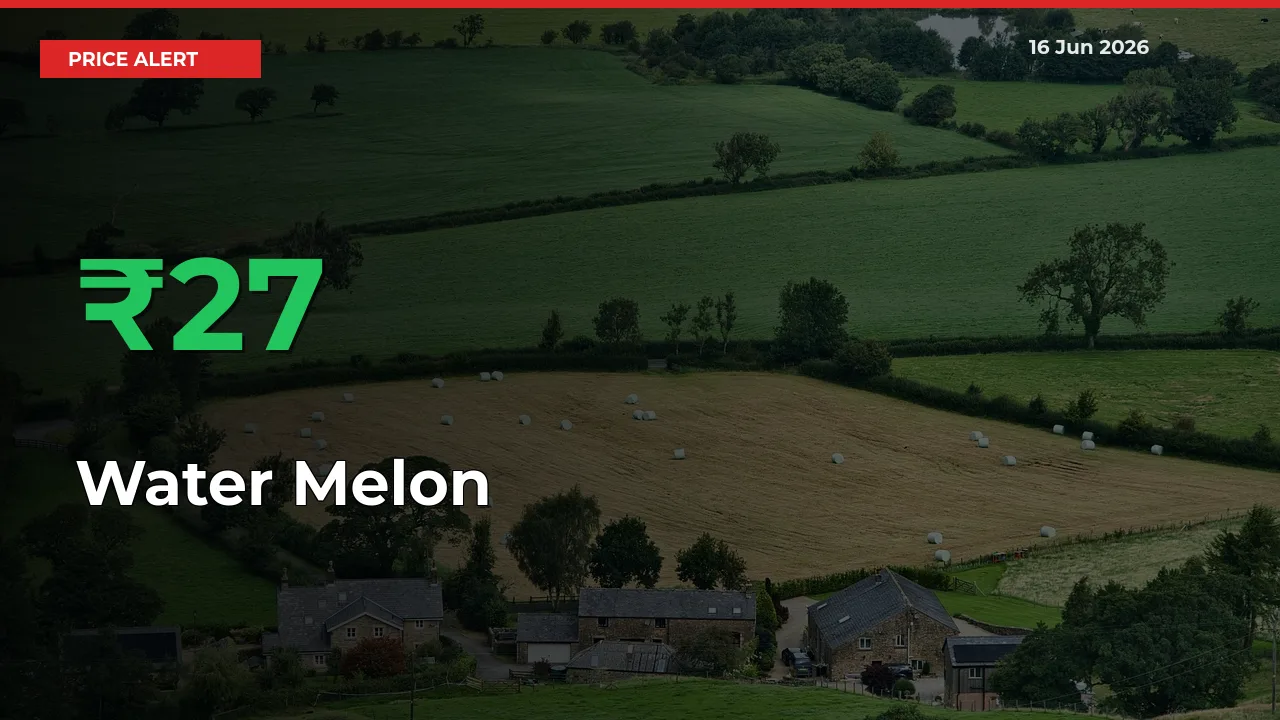 Water Melon Rises 26.8% at Mandis