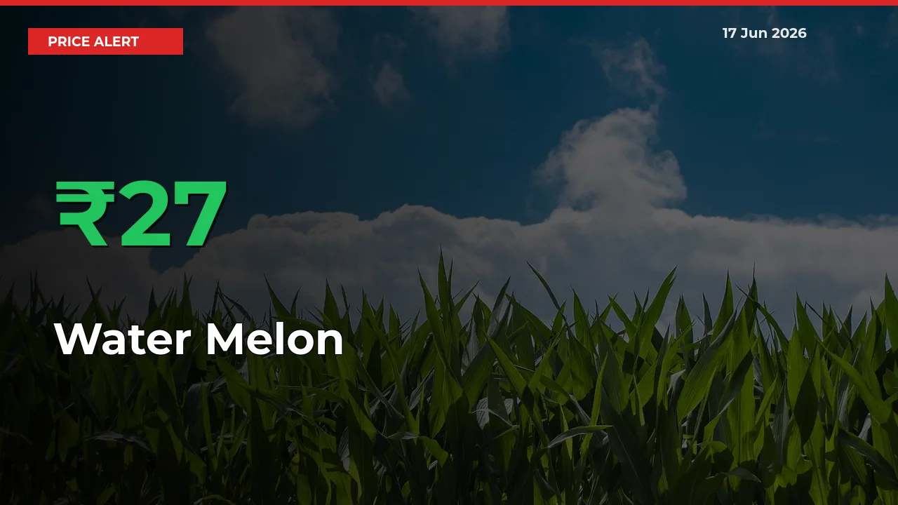 Water Melon Rises 27.13% at Mandis