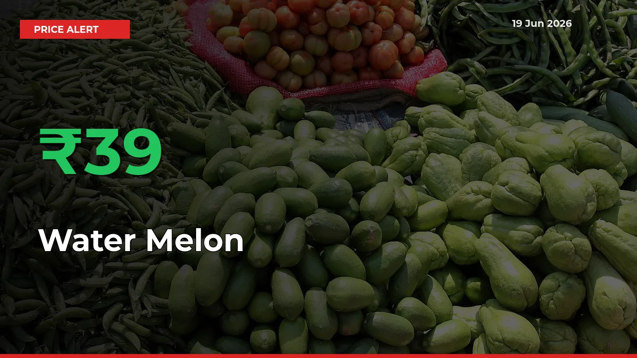 Sharp Jump! Water Melon Prices Climb 38.94% in 24 Hours at Key Mandis