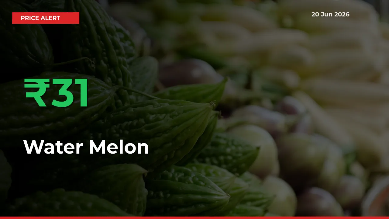 Sudden 31.27% Rally in Water Melon Prices Across Mandis