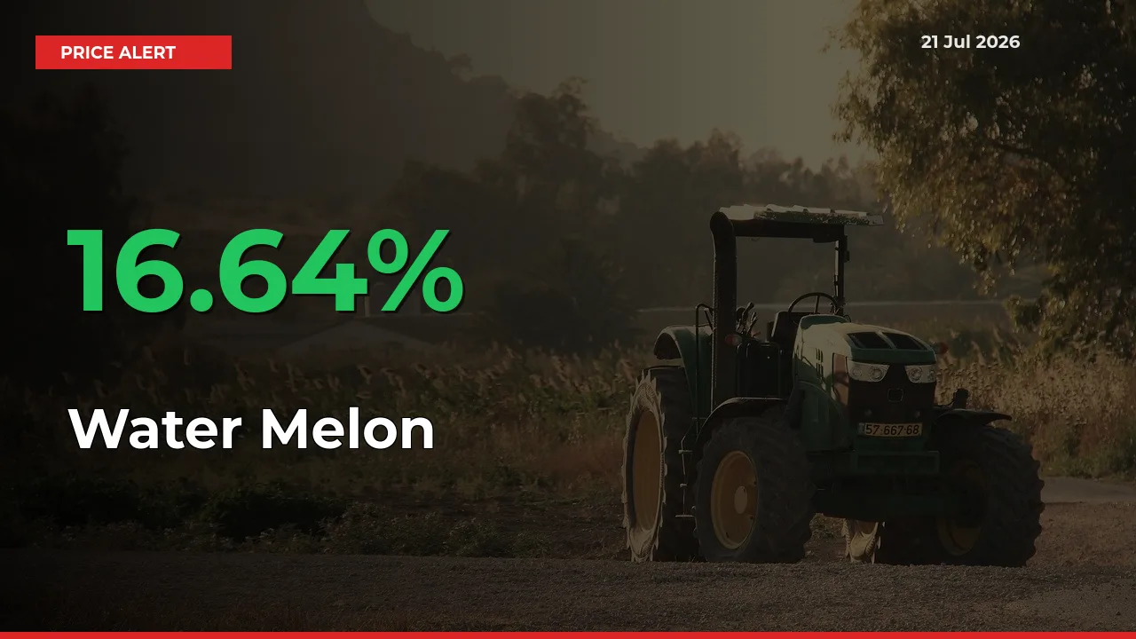 Water Melon Rises 16.64% at Mandis