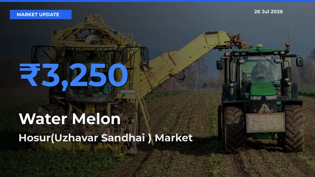 Hosur(Uzhavar Sandhai ) Tops Water Melon Mandi Rates Today