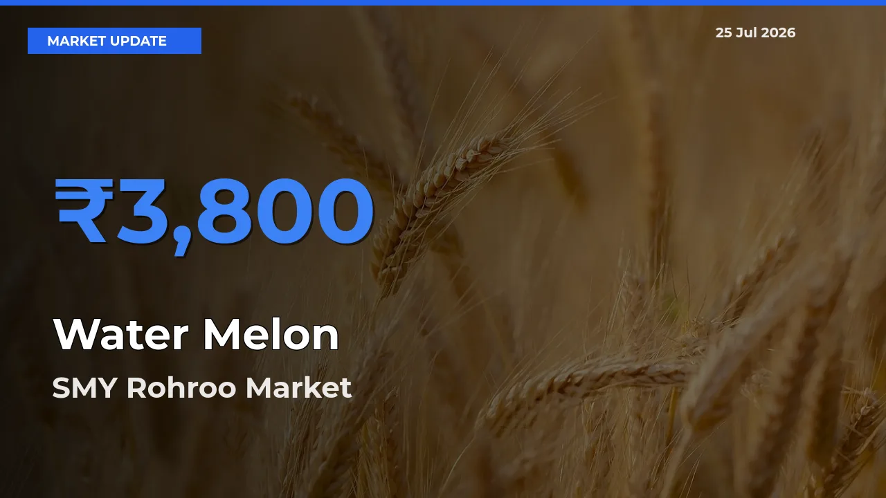 SMY Rohroo Offers ₹3,800 – Highest Water Melon Rate Today