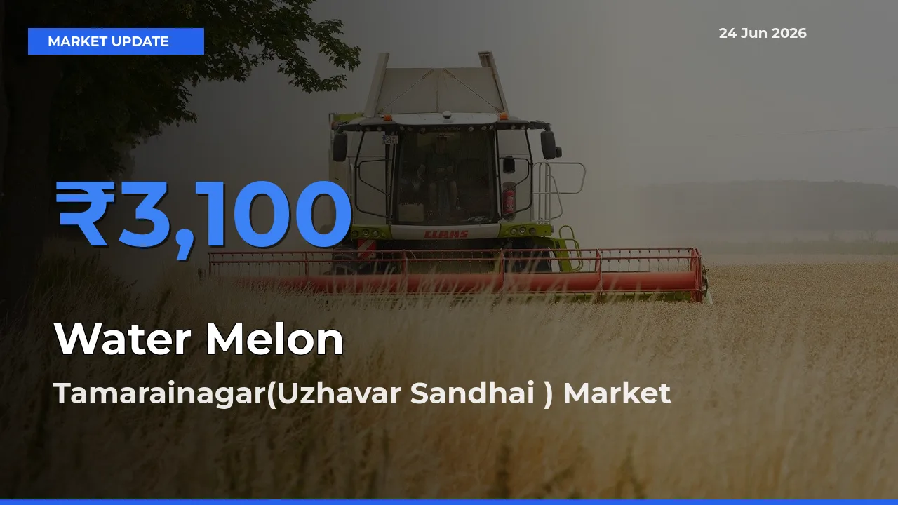 Tamarainagar(Uzhavar Sandhai ) Tops Water Melon Mandi Rates Today