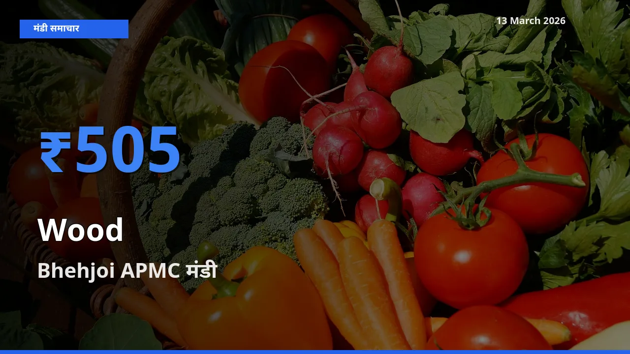 किसानों की पसंद बना Bhehjoi APMC, लकड़ी के सबसे अच्छे दाम
