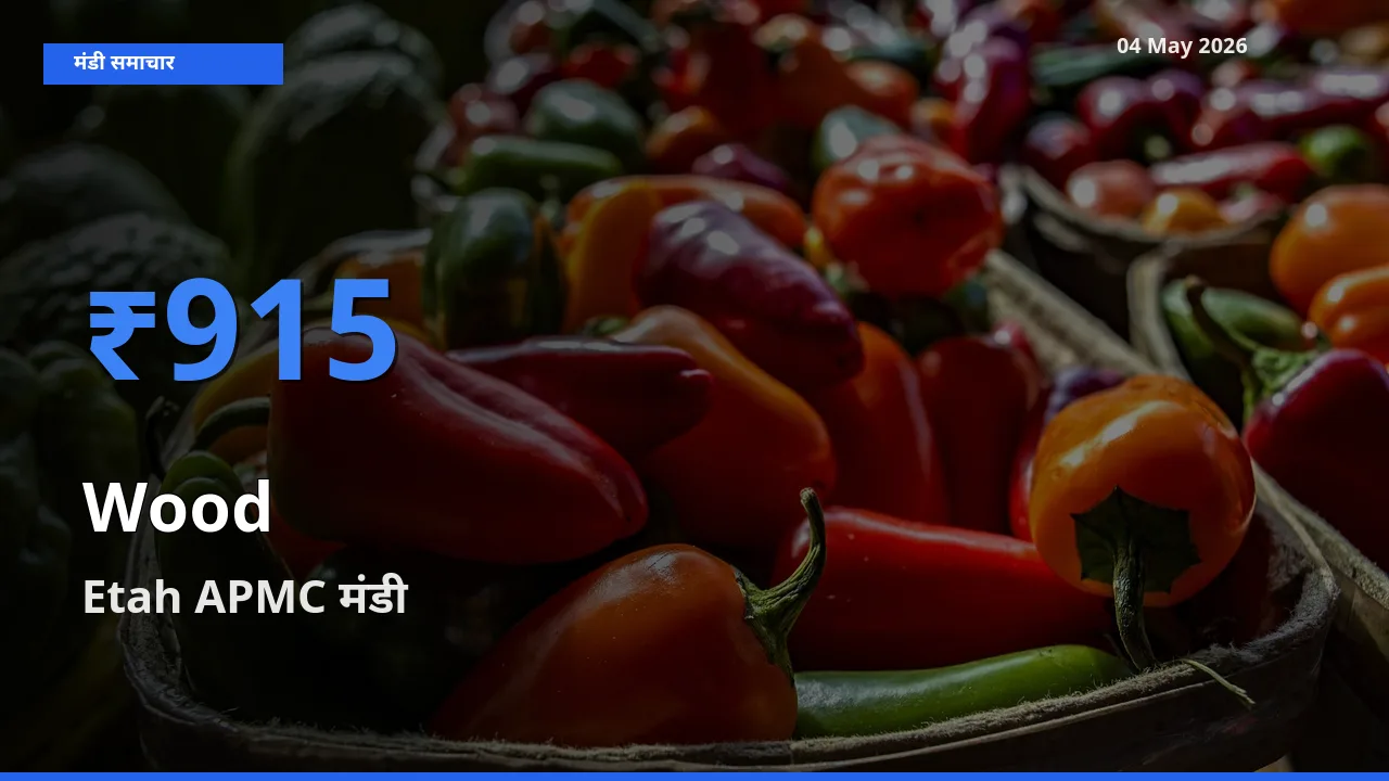 Etah APMC मंडी में आज लकड़ी के सबसे ऊँचे दाम दर्ज