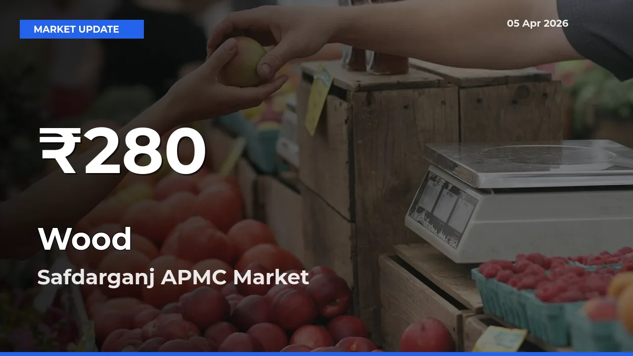 Wood Hits 30-Day Low in Safdarganj APMC