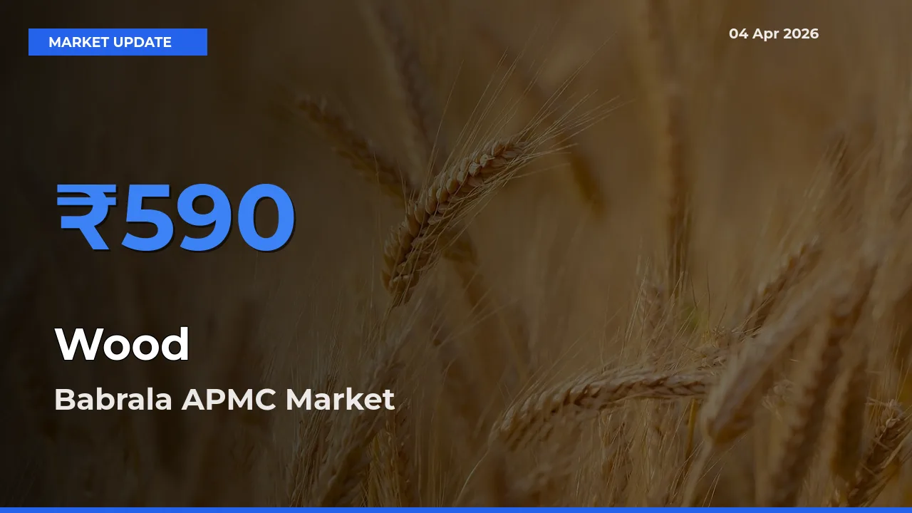 Market Watch: Babrala APMC Becomes Top Mandi for Wood