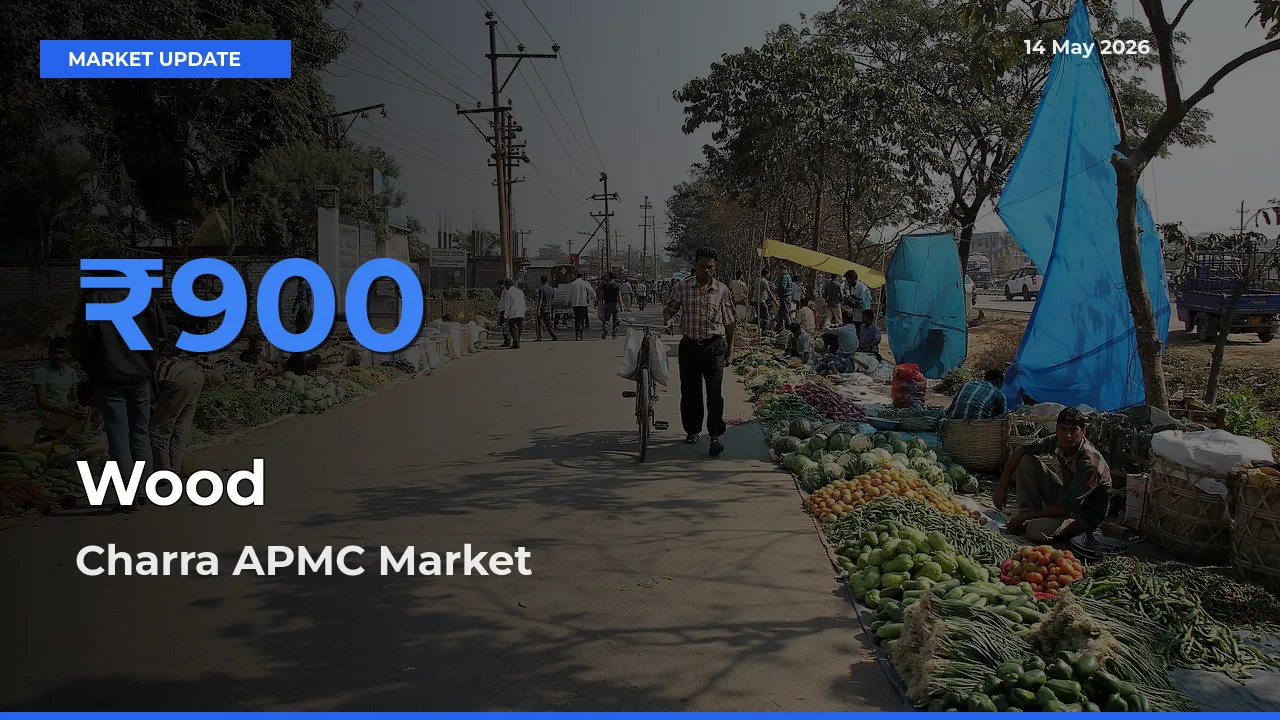 Market Watch: Charra APMC Becomes Top Mandi for Wood