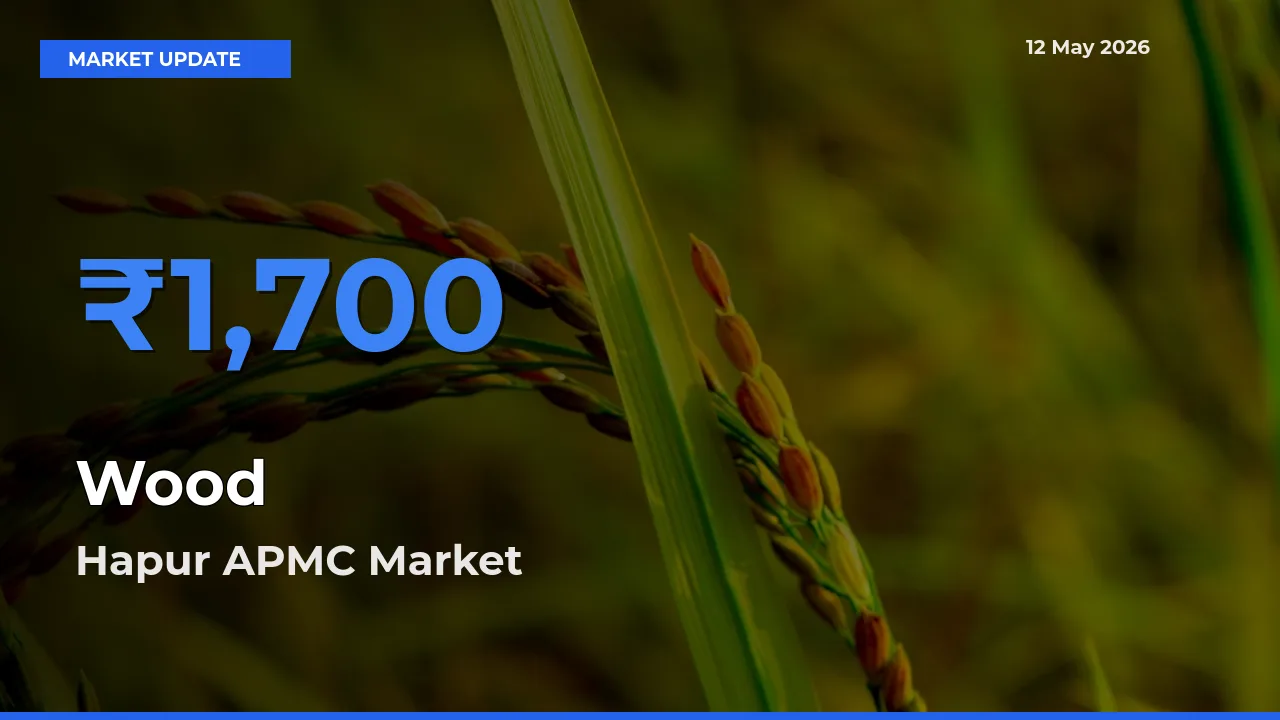 Hapur APMC Records Highest ₹1,700 Rate for Wood