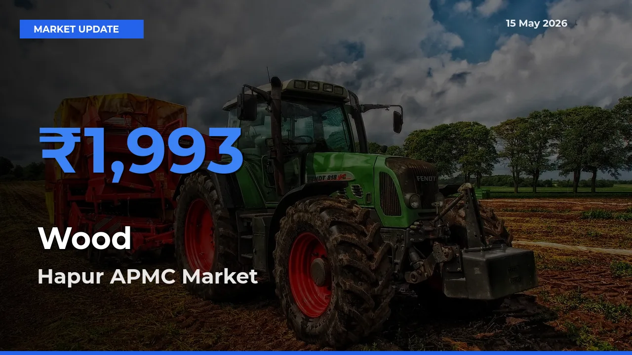 Market Watch: Hapur APMC Becomes Top Mandi for Wood