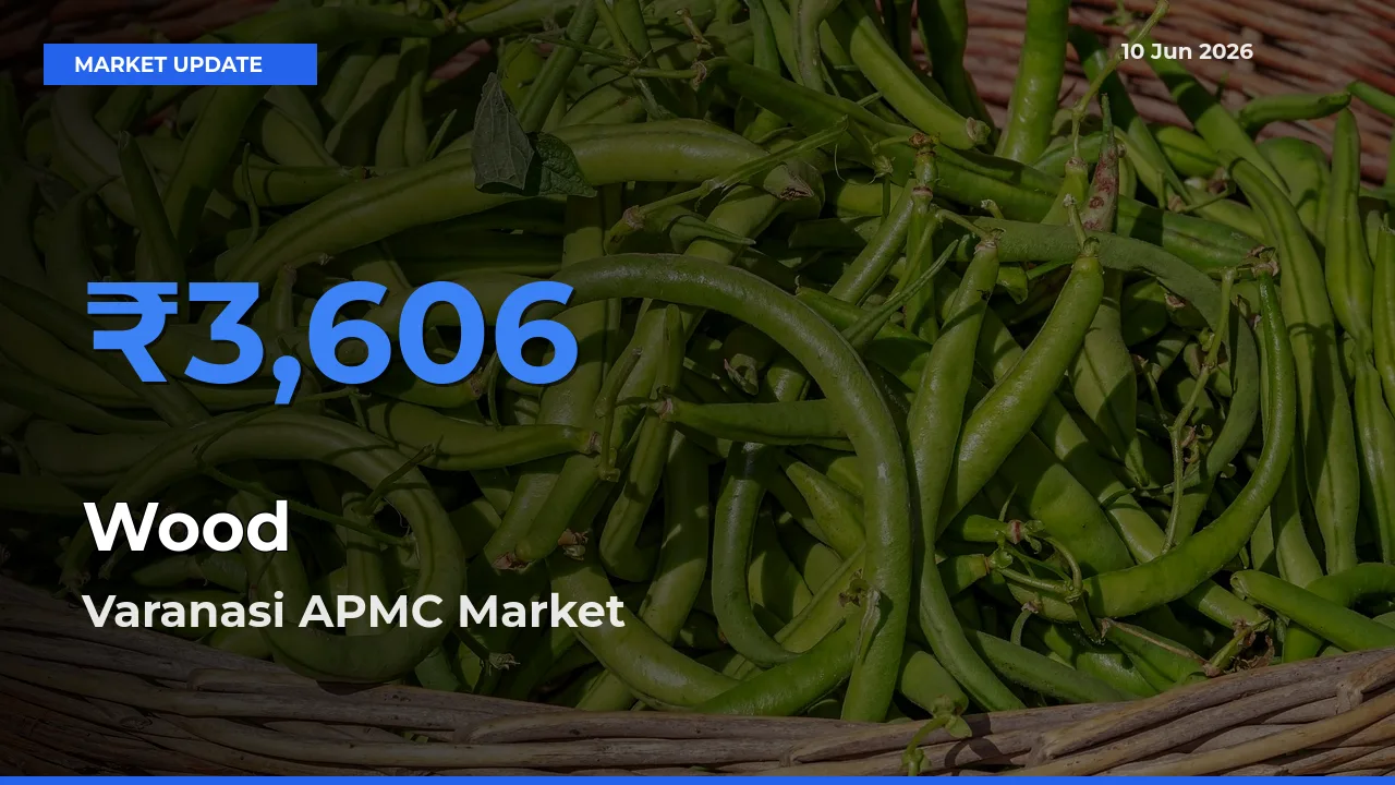 Market Watch: Varanasi APMC Becomes Top Mandi for Wood