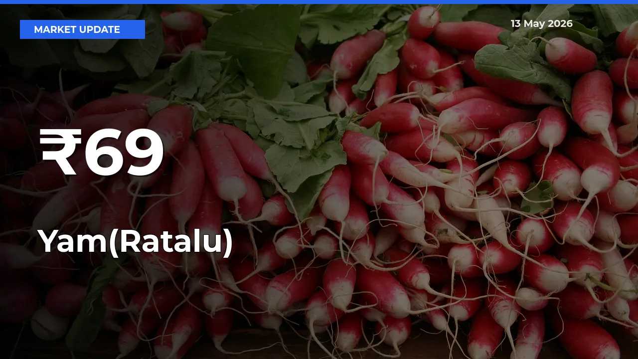 Strong Trend in Yam(Ratalu) Rates Across Multiple Mandis – What It Means for Traders