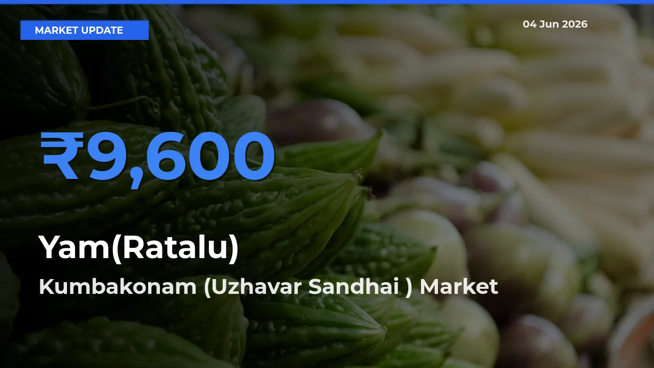 Top Performer! Kumbakonam (Uzhavar Sandhai ) Offers Best Yam(Ratalu) Price Today