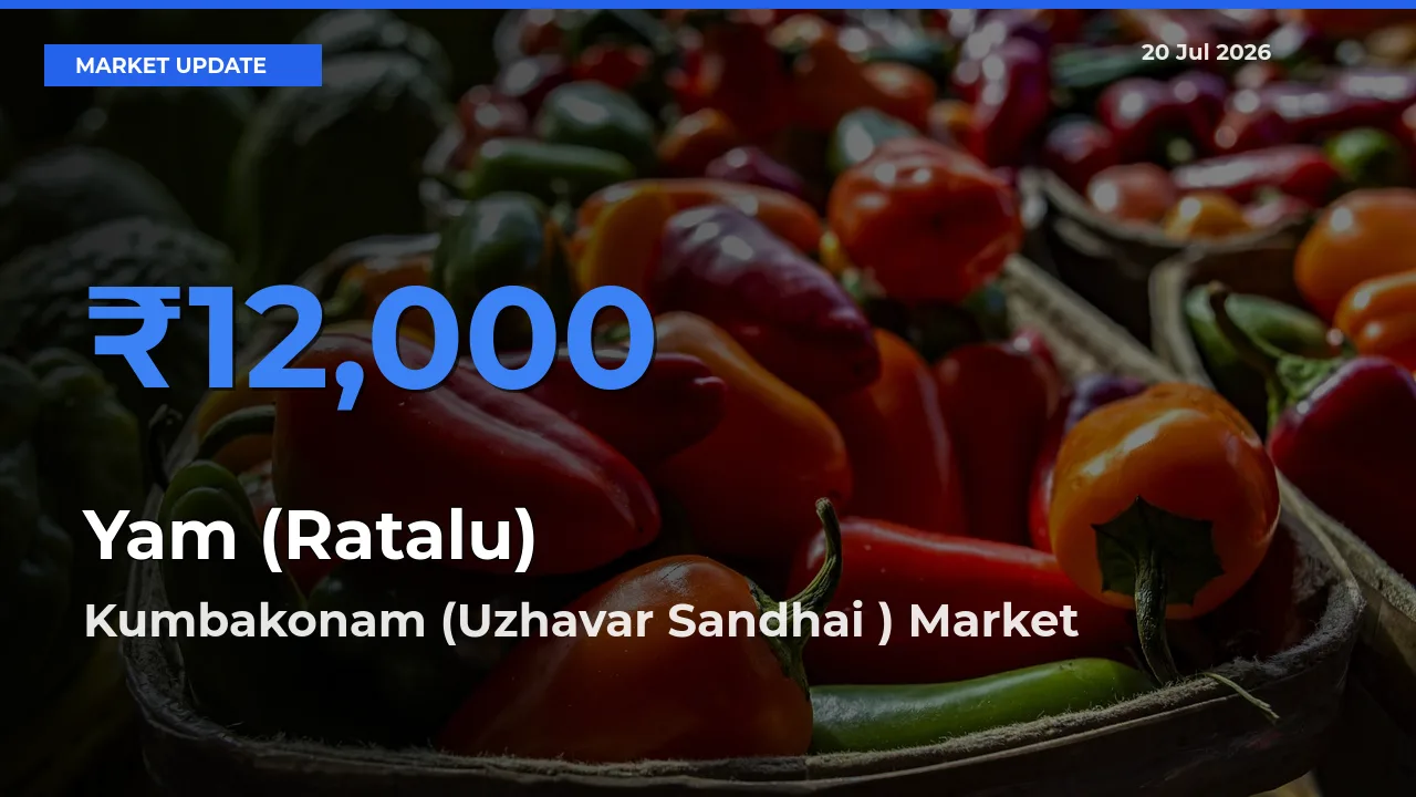 Top Performer! Kumbakonam (Uzhavar Sandhai ) Offers Best Yam (Ratalu) Price Today