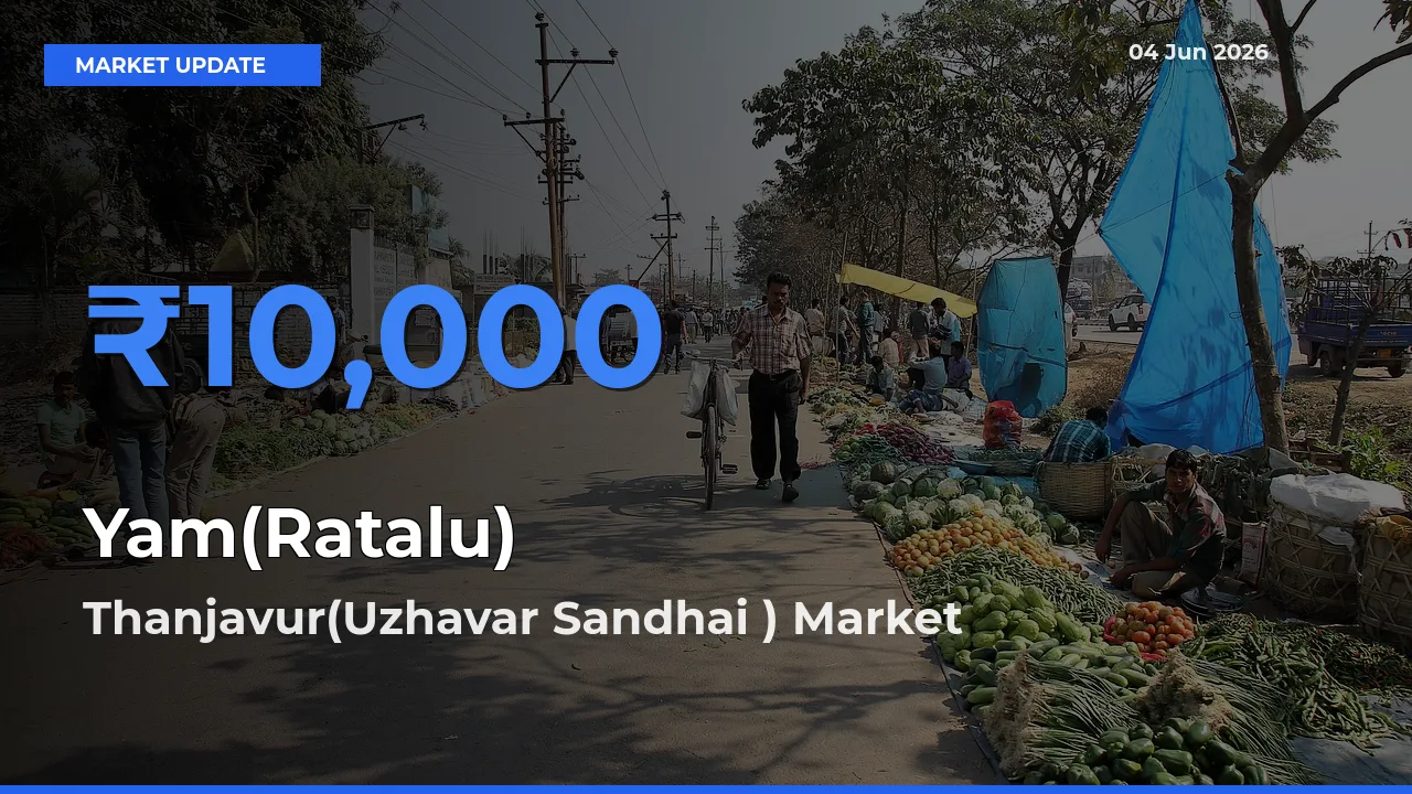 Thanjavur(Uzhavar Sandhai ) Tops Yam(Ratalu) Rates – June 04 Market Update