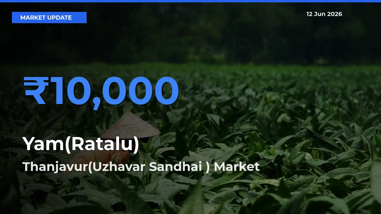 Thanjavur(Uzhavar Sandhai ) Tops Yam(Ratalu) Mandi Rates Today