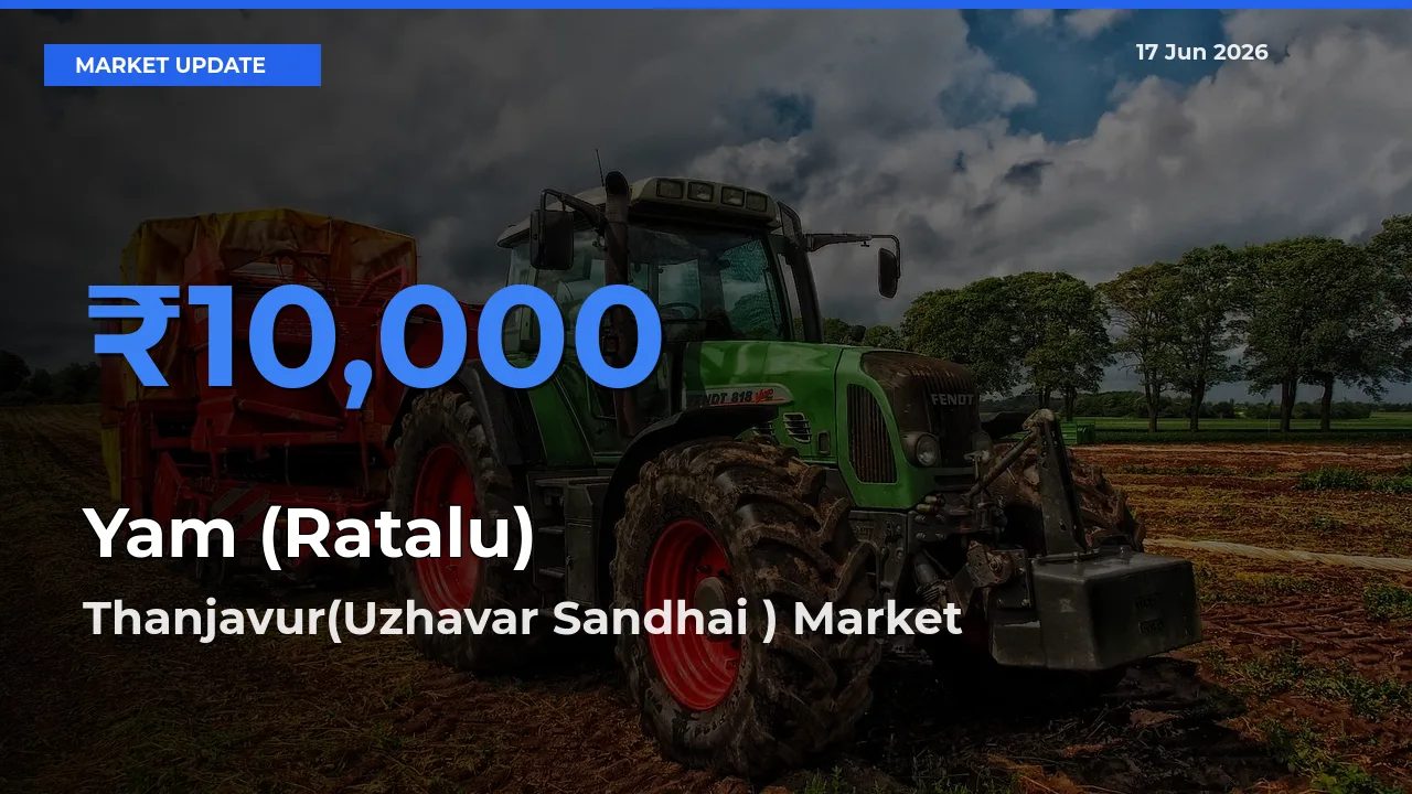 Thanjavur(Uzhavar Sandhai ) Tops Yam (Ratalu) Rates – June 17 Market Update