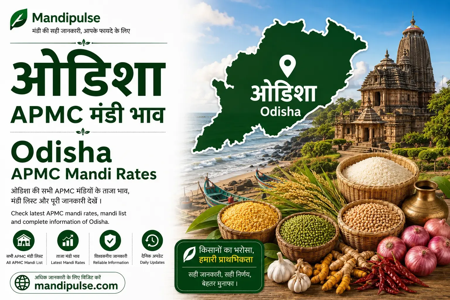 Odisha mandi bhav today - latest APMC commodity rates Odisha mandi bhav today - latest APMC commodity rates
